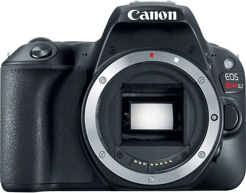 Canon EOS Rebel SL2 DSLR Camera Body - 2249C001