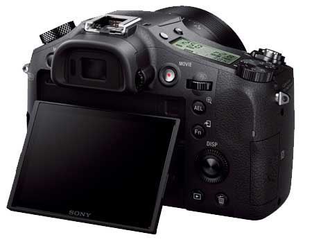 Sony Cyber-Shot 20.2 MP Digital Camera - DSCRX10/B