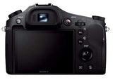 Sony Cyber-Shot 20.2 MP Digital Camera - DSCRX10/B